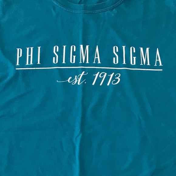 Phi Sigma Sigma Est 1913 Blue T Shirt Comfort Colors Size Medium - Picture 2 of 2